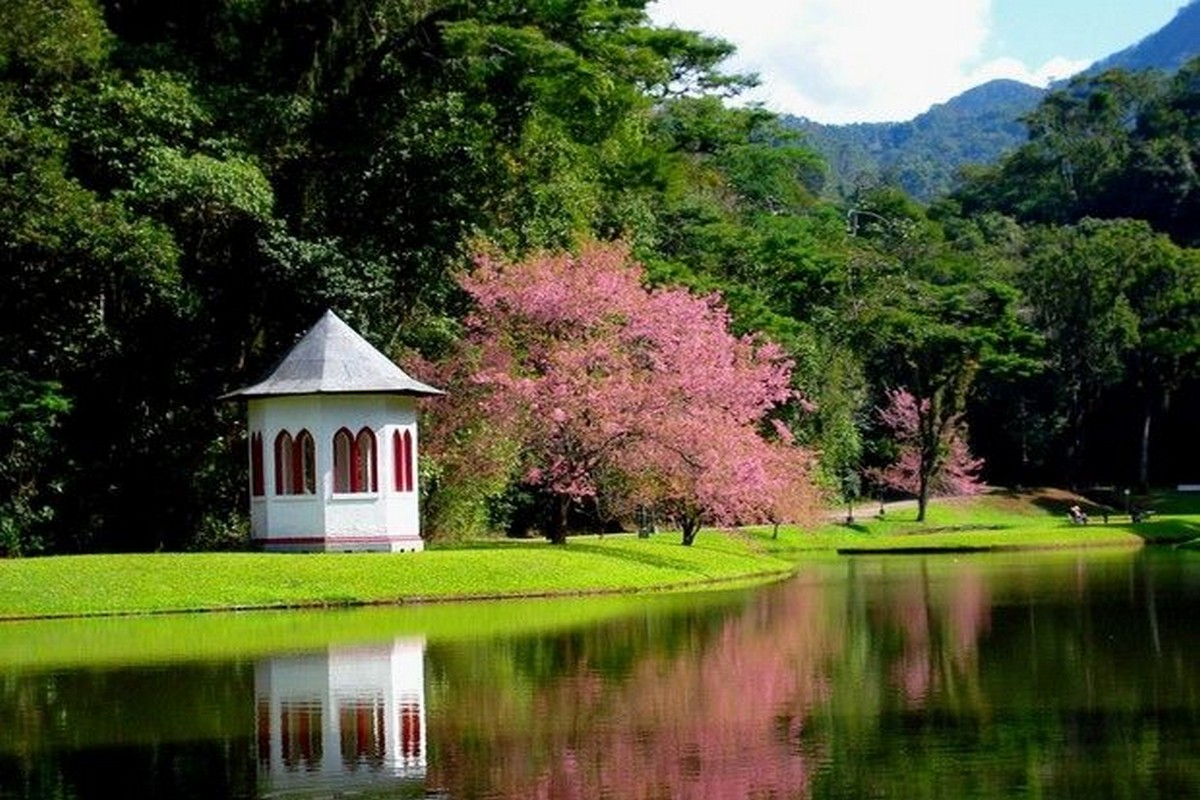 Resultado de imagem para Cidade das Flores, Nova Friburgo