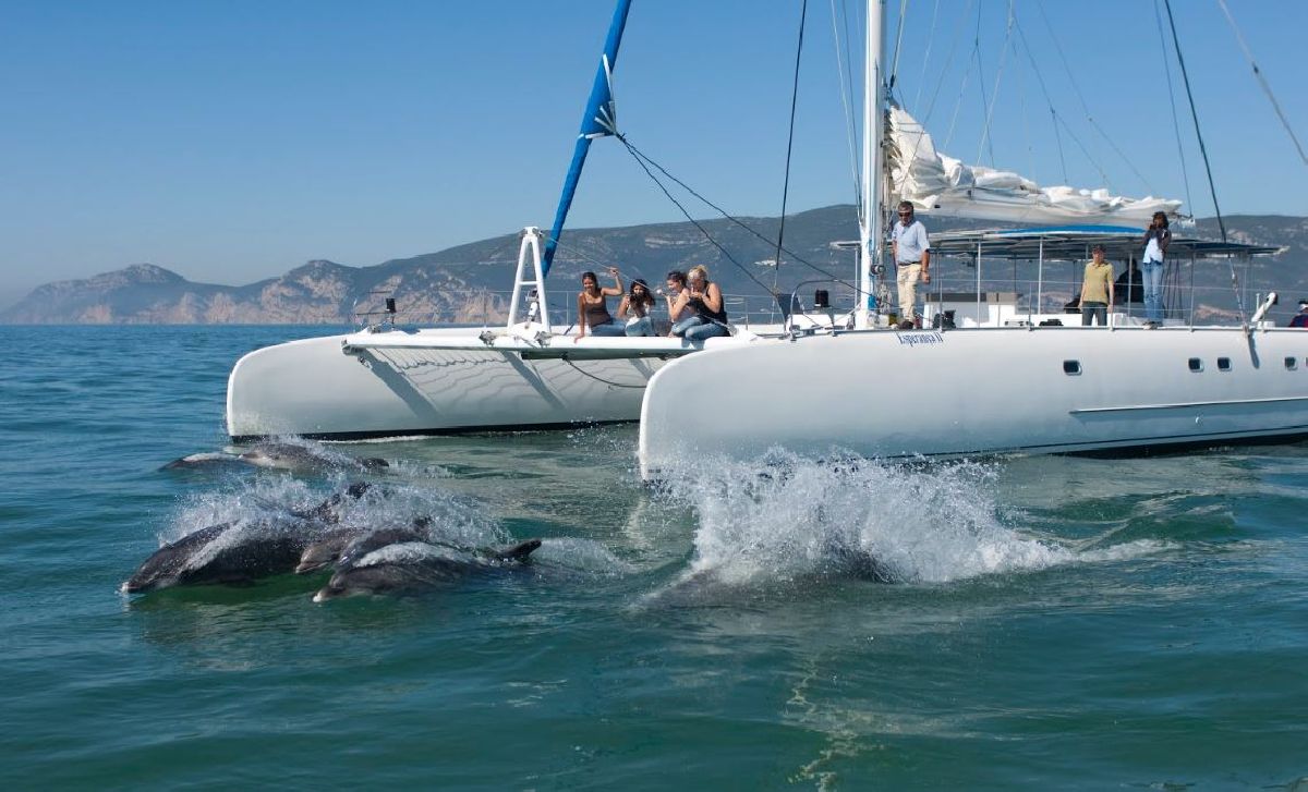 UMA DAS MAIS BELAS DO MUNDO, BAÍA DE SETÚBAL ATRAI VISITANTES AO ALENTEJO O ANO TODO