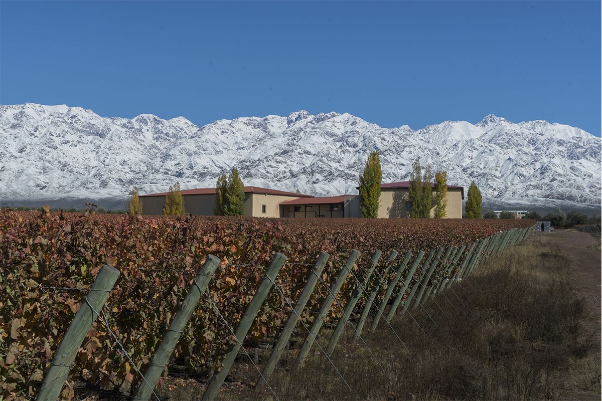 DEGUSTAÇÃO DE VINHOS E CHARUTOS EM EXPERIÊNCIA EXCLUSIVA AOS PÉS DOS ANDES