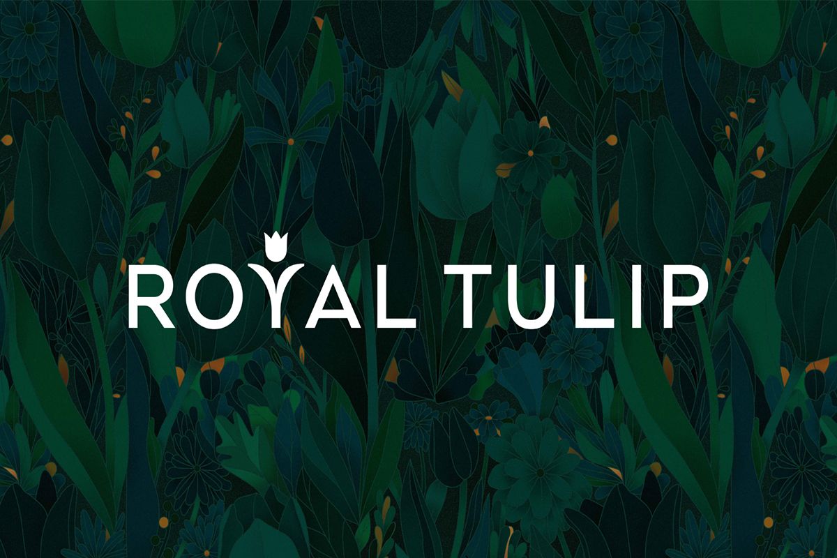 HOTÉIS ROYAL TULIP RENOVAM IDENTIDADE VISUAL E REFORÇAM PERFIL DE SOFISTICAÇÃO