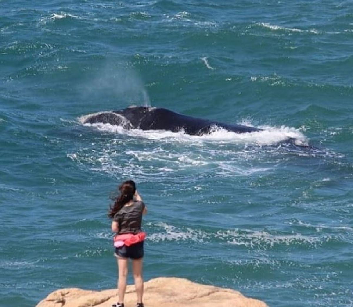 Woman watching a whale