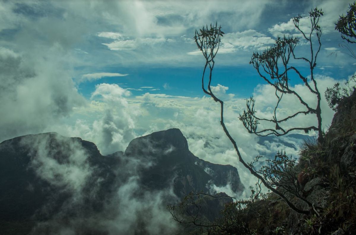 PICO DA NEBLINA É DESTINO A SER DESCOBERTO PELOS AVENTUREIROS