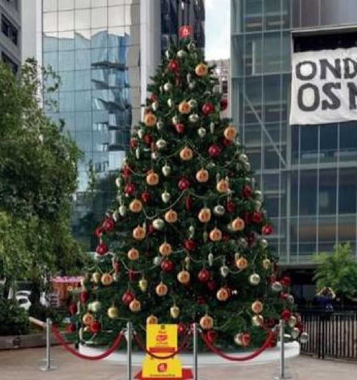 AVENIDA PAULISTA GANHA DECORAÇÃO DE NATAL A PARTIR DO DIA 10