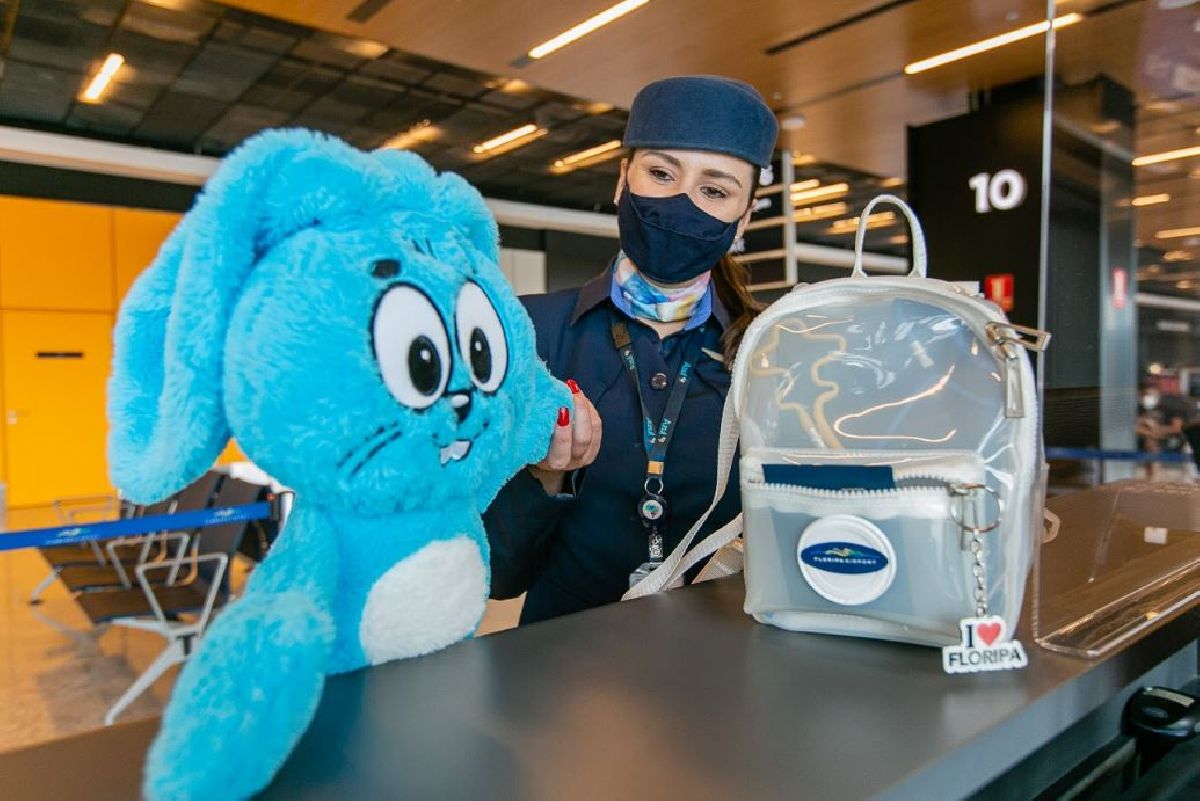 O SANSÃO DA EDUARDA: MENINA DE 4 ANOS ESQUECE SEU COELHINHO NO AEROPORTO E UMA VERDADEIRA FORÇA TAREFA SE UNE PARA LEVÁ-LO DE VOLTA A SUA DONA