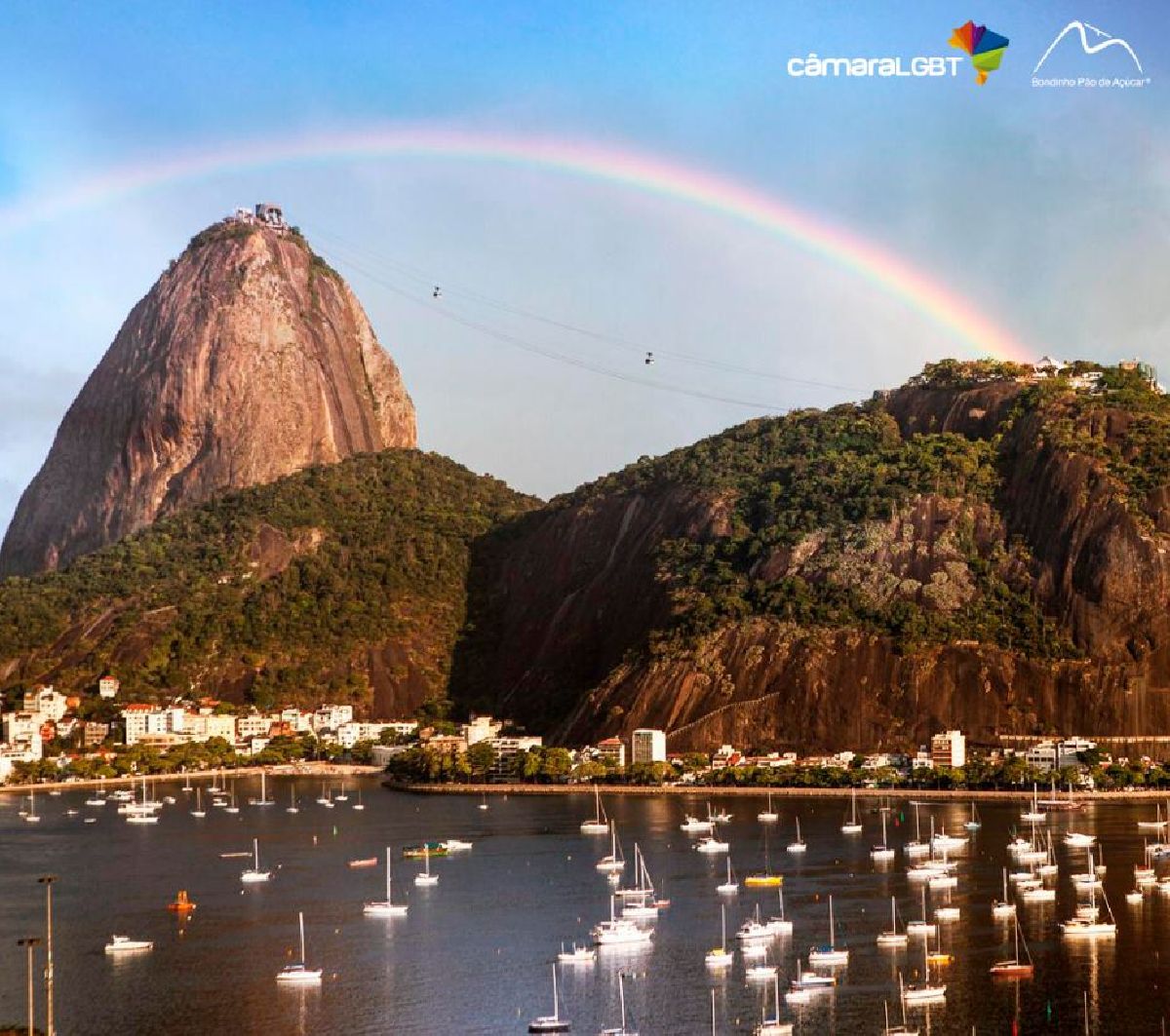 BONDINHO PÃO DE AÇÚCAR ANUNCIA PARCERIA COM CÂMARA DE COMÉRCIO E TURISMO LGBT DO BRASIL