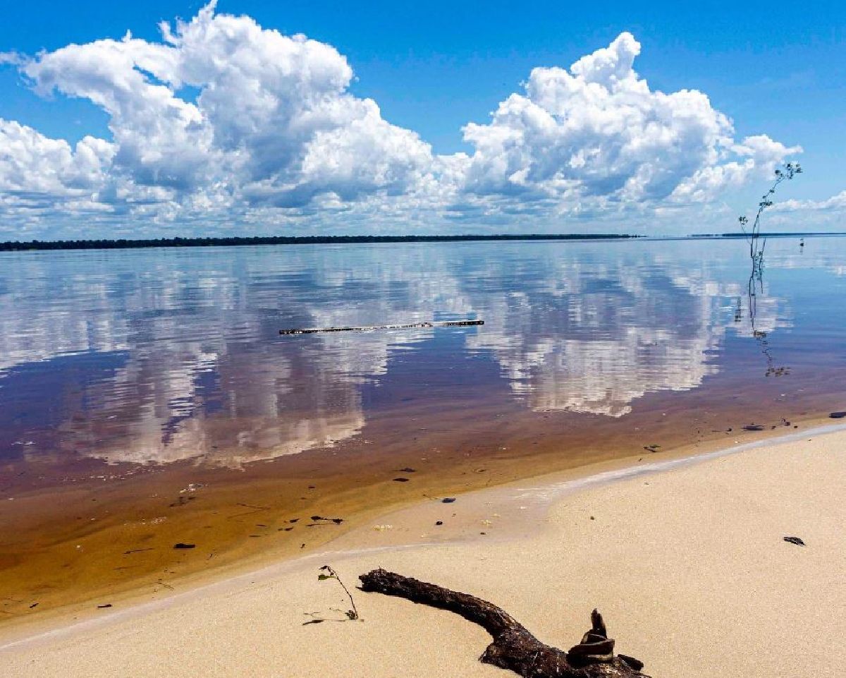 PORANDUBA AMAZÔNIA SE JUNTA ÀS 11 EMPRESAS COMPROMISSADAS COM O BEM-ESTAR ANIMAL NO TURISMO BRASILEIRO