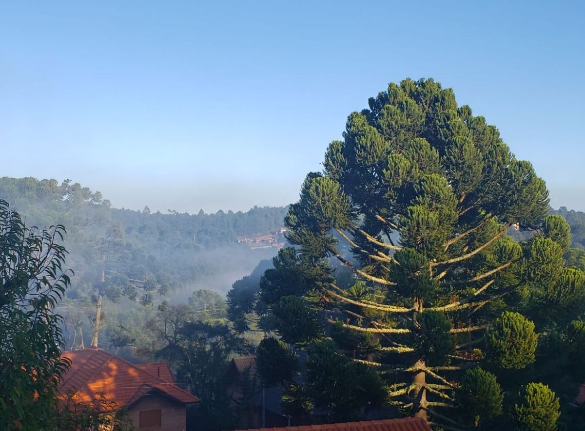 MONTE VERDE DE A A Z PARA CURTIR AS FÉRIAS DE JULHO