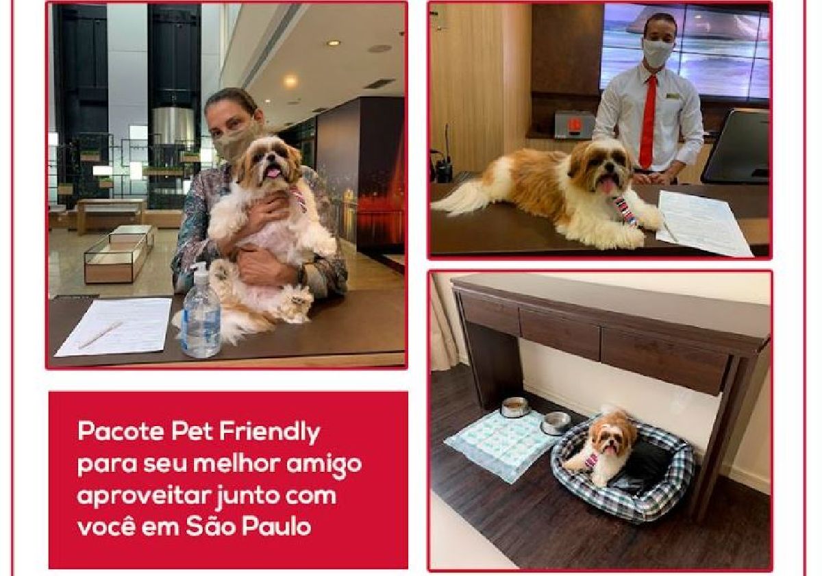 NO HOTEL TRANSAMÉRICA BERRINI SEU PET TAMBÉM É HÓSPEDE VIP!