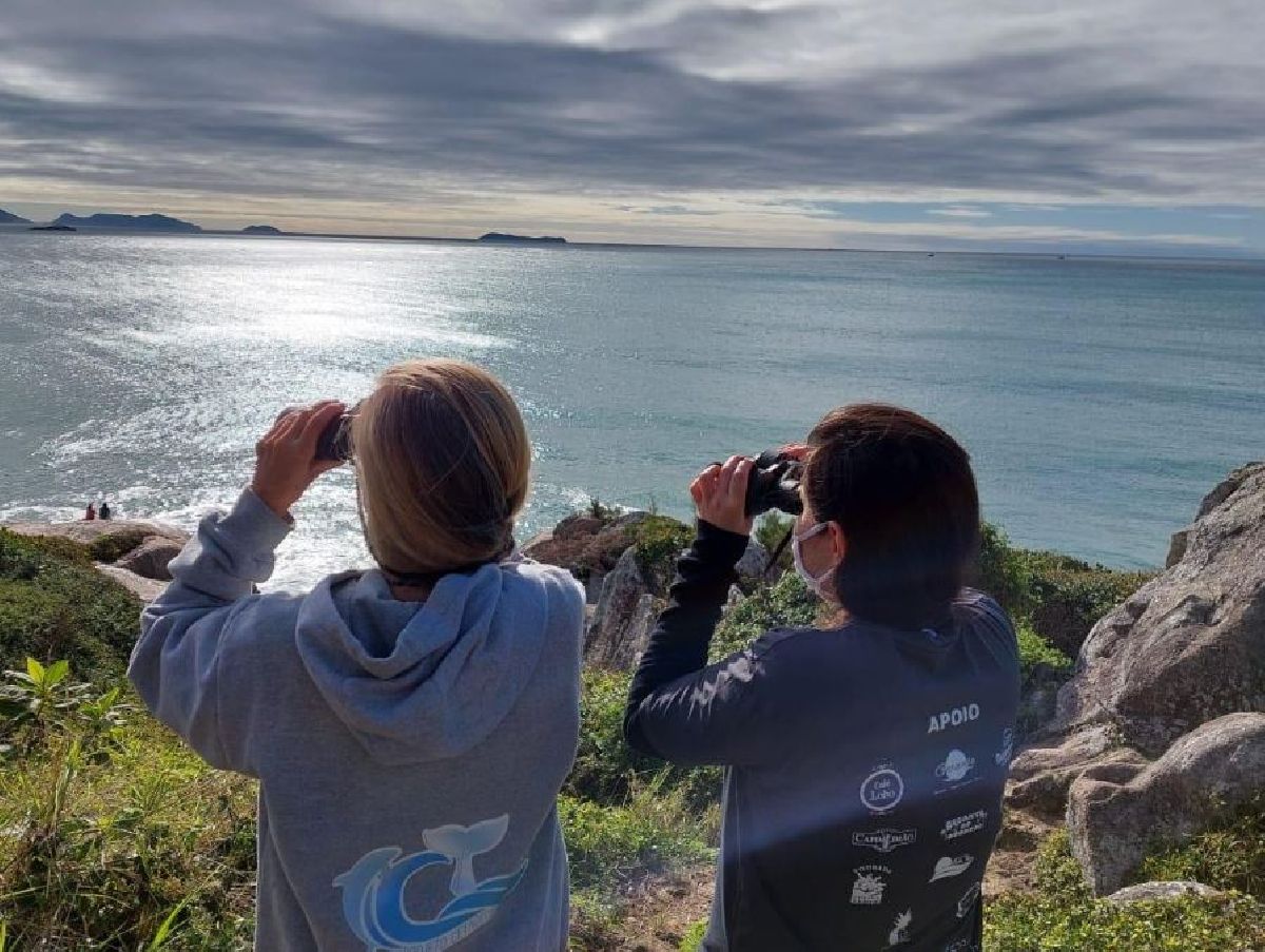 AGÊNCIA  AMO GAROPABA E PROJETO CETÁCEOS FAZEM PARCERIA QUE UNE TURISMO E EDUCAÇÃO AMBIENTAL