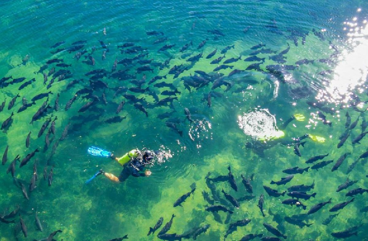 EM BONITO, NASCENTE AZUL GANHARÁ MUSEU SUBAQUÁTICO