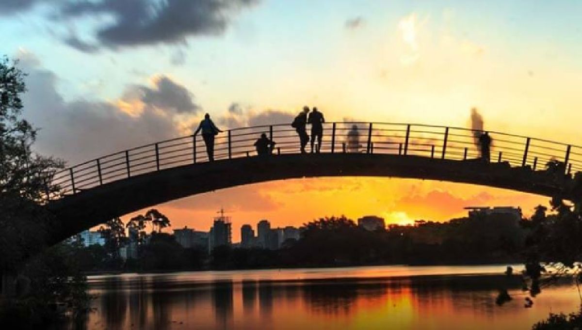 PRINCIPAL ATRAÇÃO TURÍSTICA DA CAPITAL PAULISTA, CONFIRA CURIOSIDADES POR TRÁS DO PARQUE IBIRAPUERA