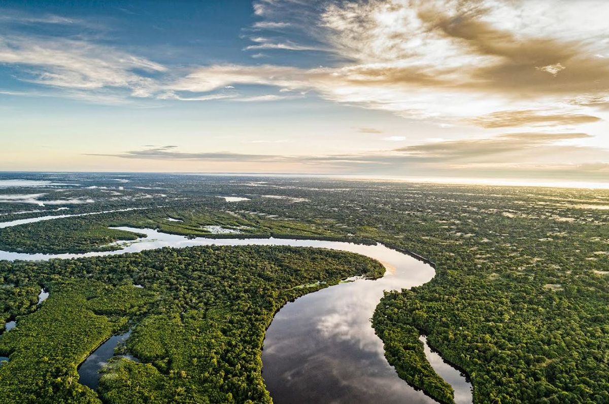 DO PANTANAL À AMAZÔNIA, PLURALIDADE DO BRASIL ESTARÁ REPRESENTADA NO FESTURIS