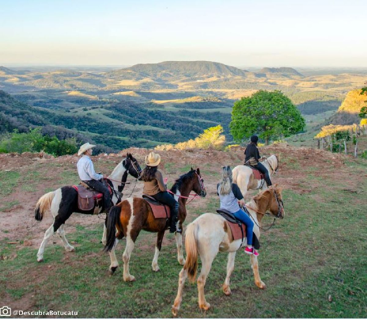 PARDINHO TEM PAISAGENS DESLUMBRANTES E QUEIJOS PREMIADOS