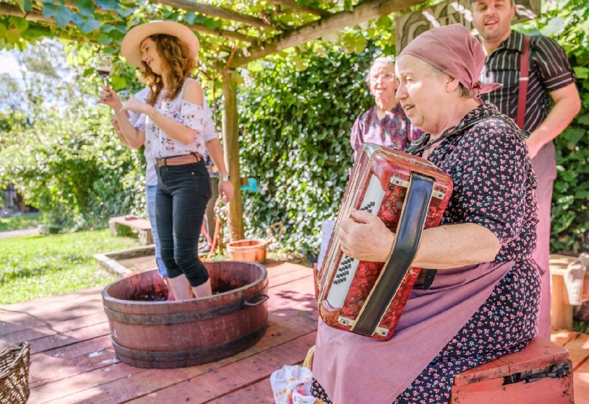 VERÃO É TEMPO DE VINDIMA NA SERRA GAÚCHA