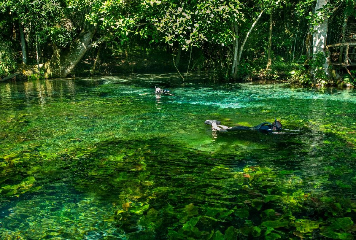 BONITO OU SIMPLESMENTE MARAVILHOSO: OS PRINCIPAIS PASSEIOS DO DESTINO