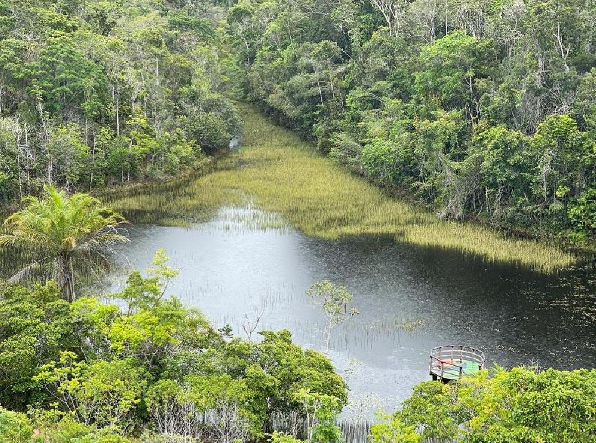 PARQUE NACIONAL DO DESCOBRIMENTO É DESTINO TURÍSTICO IMPERDÍVEL NO MUNICÍPIO BAIANO DE PRADO