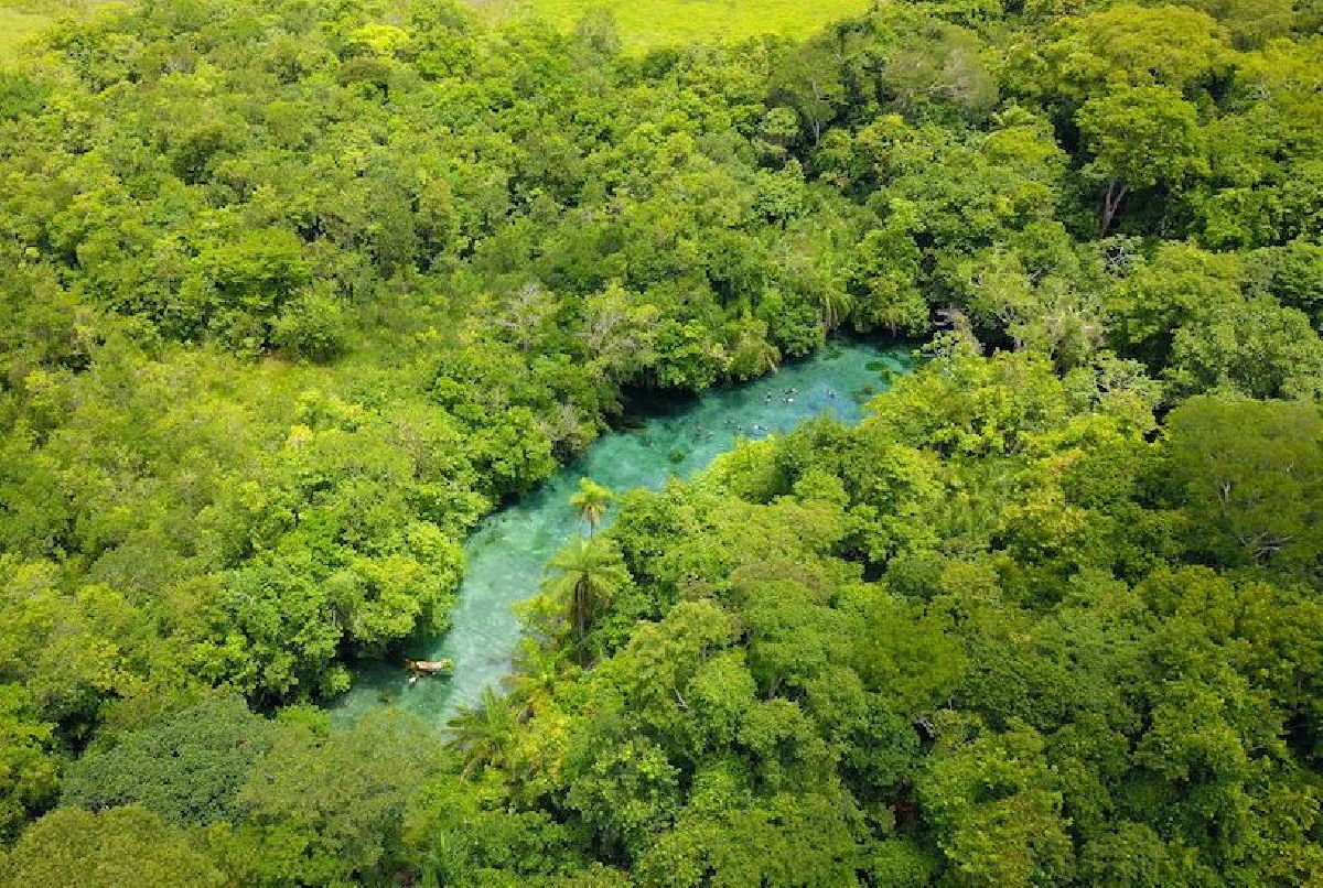 NASCENTE AZUL DESPERTA A CONSCIÊNCIA AMBIENTAL NAS CRIANÇAS