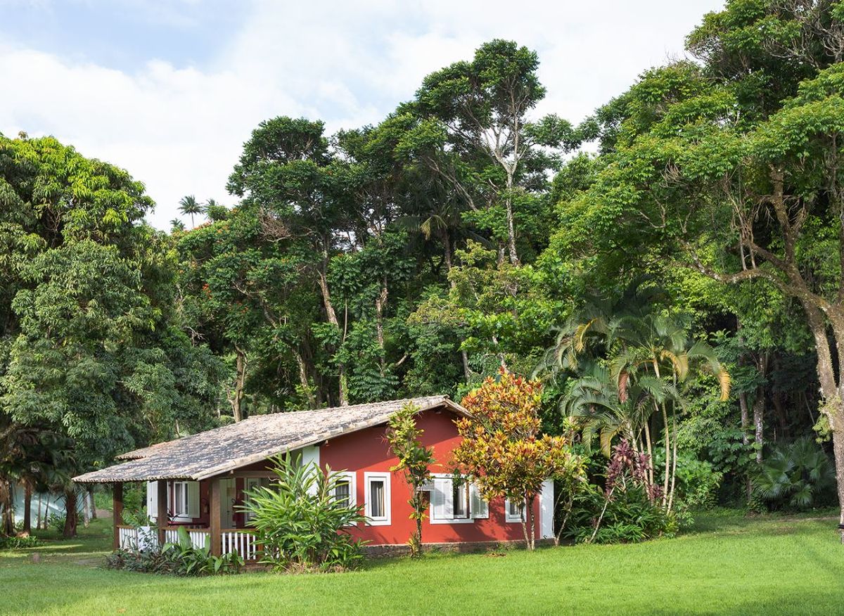 VILA SIRIÚBA: UM ESPAÇO PARA SE RECONECTAR À NATUREZA NA EXUBERANTE ILHABELA