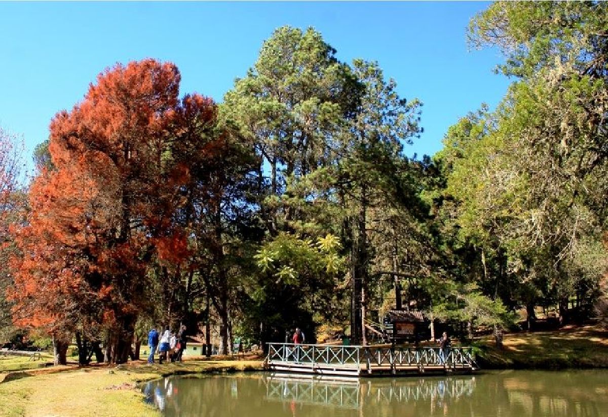 CAMPOS DO JORDÃO É DESTINO PERFEITO PARA O FERIADO DA PÁSCOA