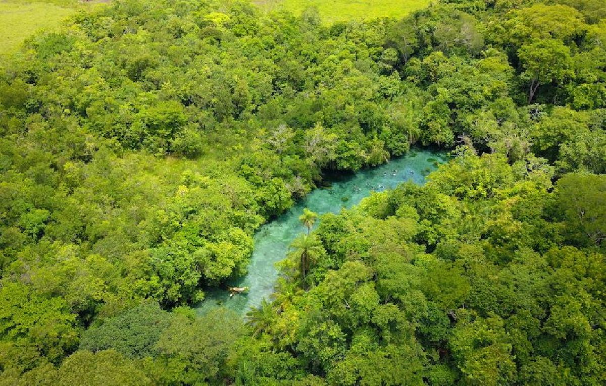 DE BONITO AO PANTANAL: O MELHOR DO ECOTURISMO NO MATO GROSSO DO SUL