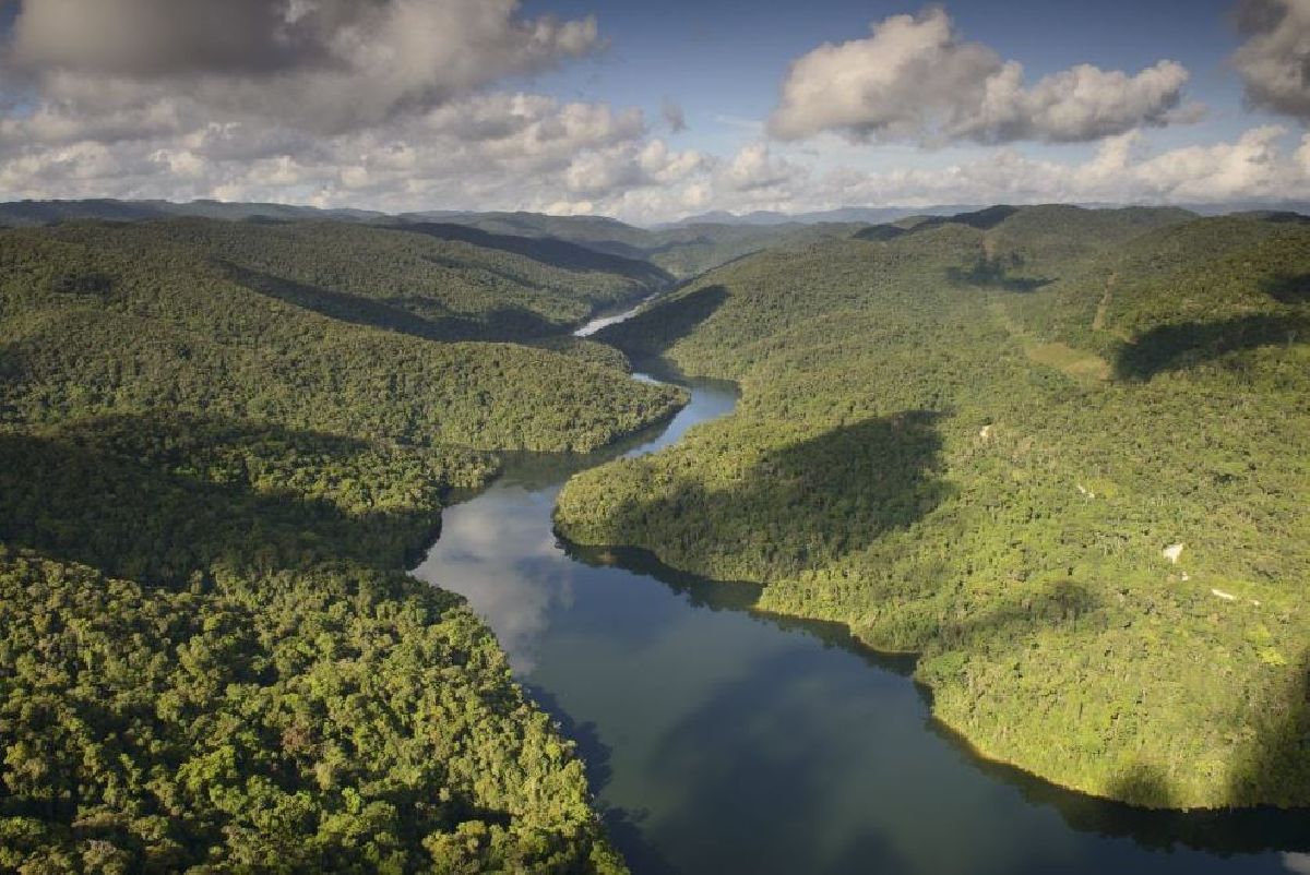 MAIOR RESERVA PRIVADA DE MATA ATLÂNTICA DO PAÍS COMPLETA 10 ANOS