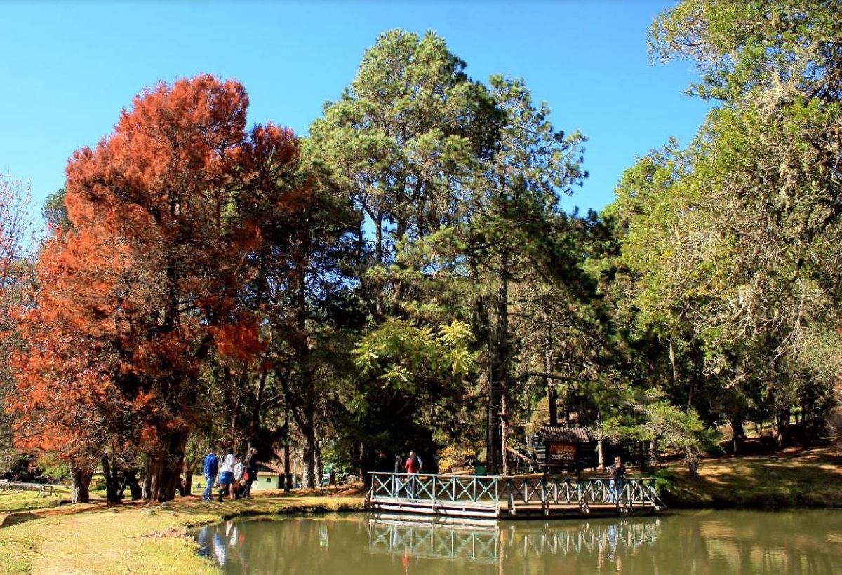 DEZ PASSEIOS PARA CURTIR O DIA DOS PAIS EM CAMPOS DO JORDÃO