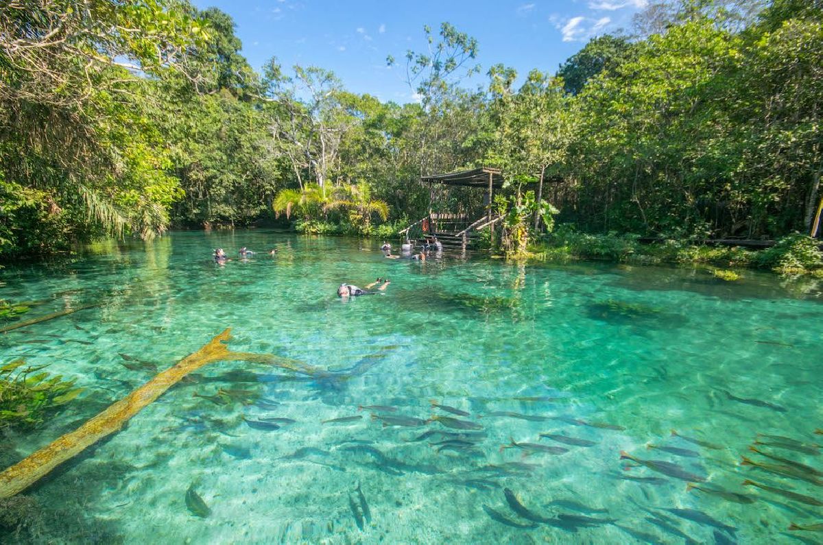 6 CENÁRIOS NATURAIS DESLUMBRANTES EM BONITO E REGIÃO