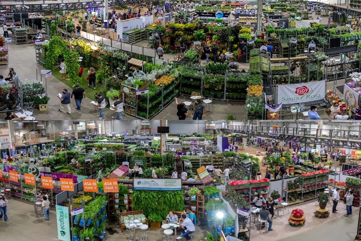 EVENTO PERMITE COMPRAS ANTECIPADAS DE FLORES E PLANTAS PARA O ÚLTIMO TRIMESTRE