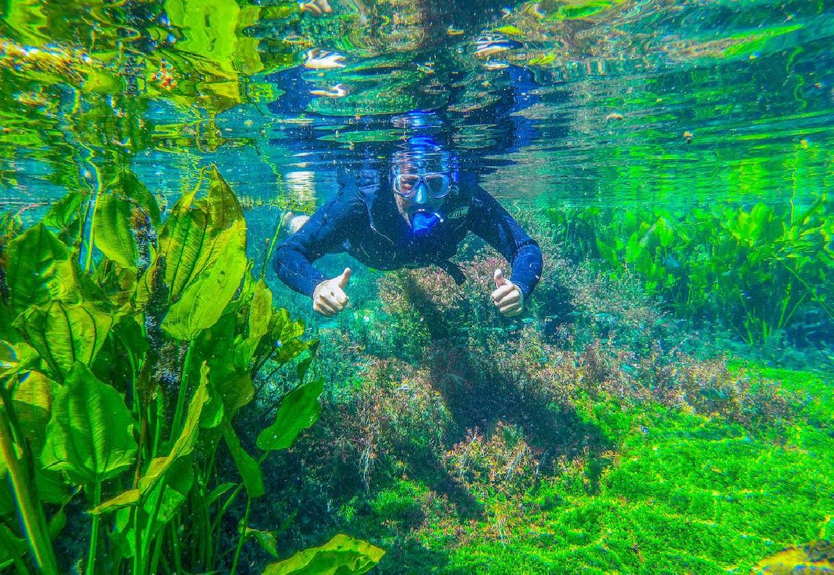 5 motivos para visitar a Nascente Azul neste verão