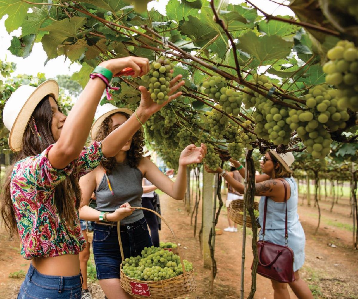 Aproveite o final das férias de verão em São Roque