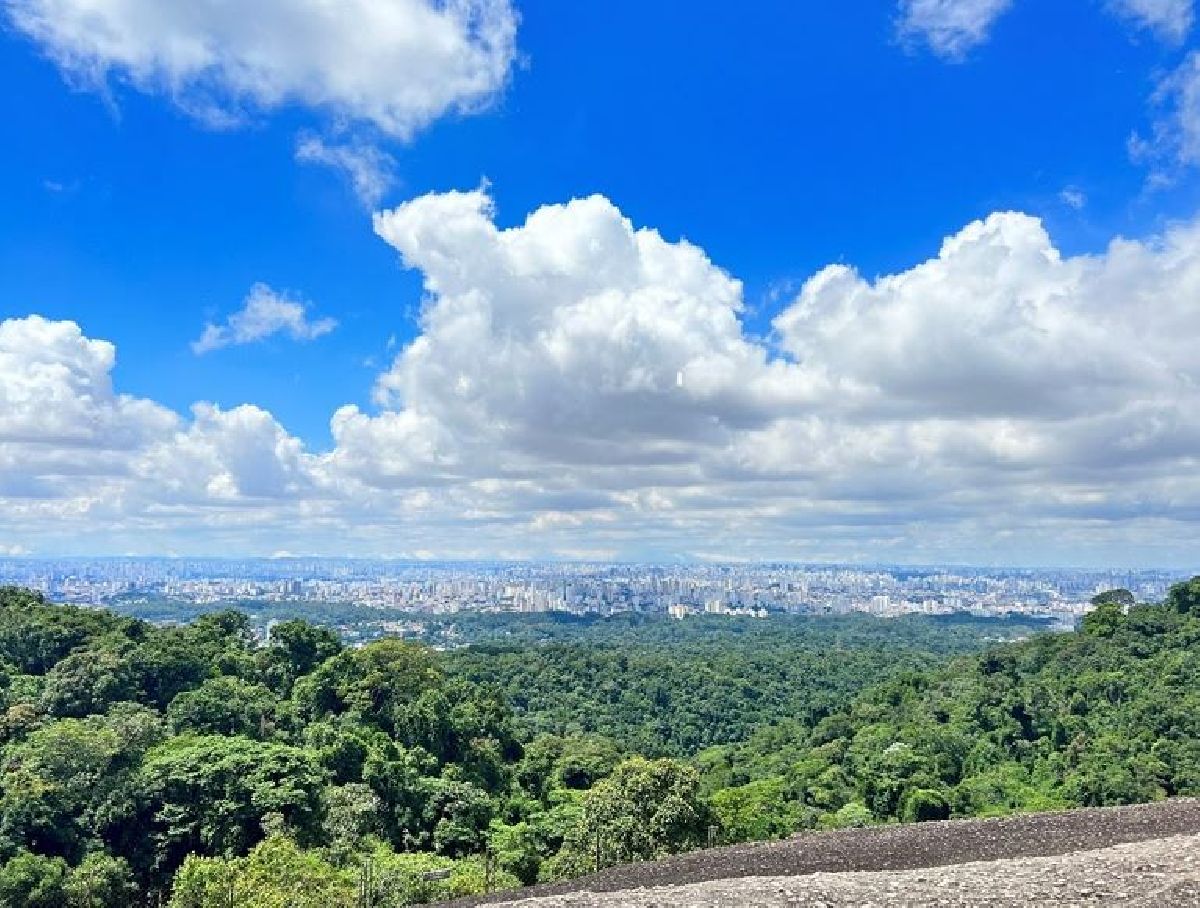 Floresta Cantareira promove pintura ao ar livre na Pedra Grande