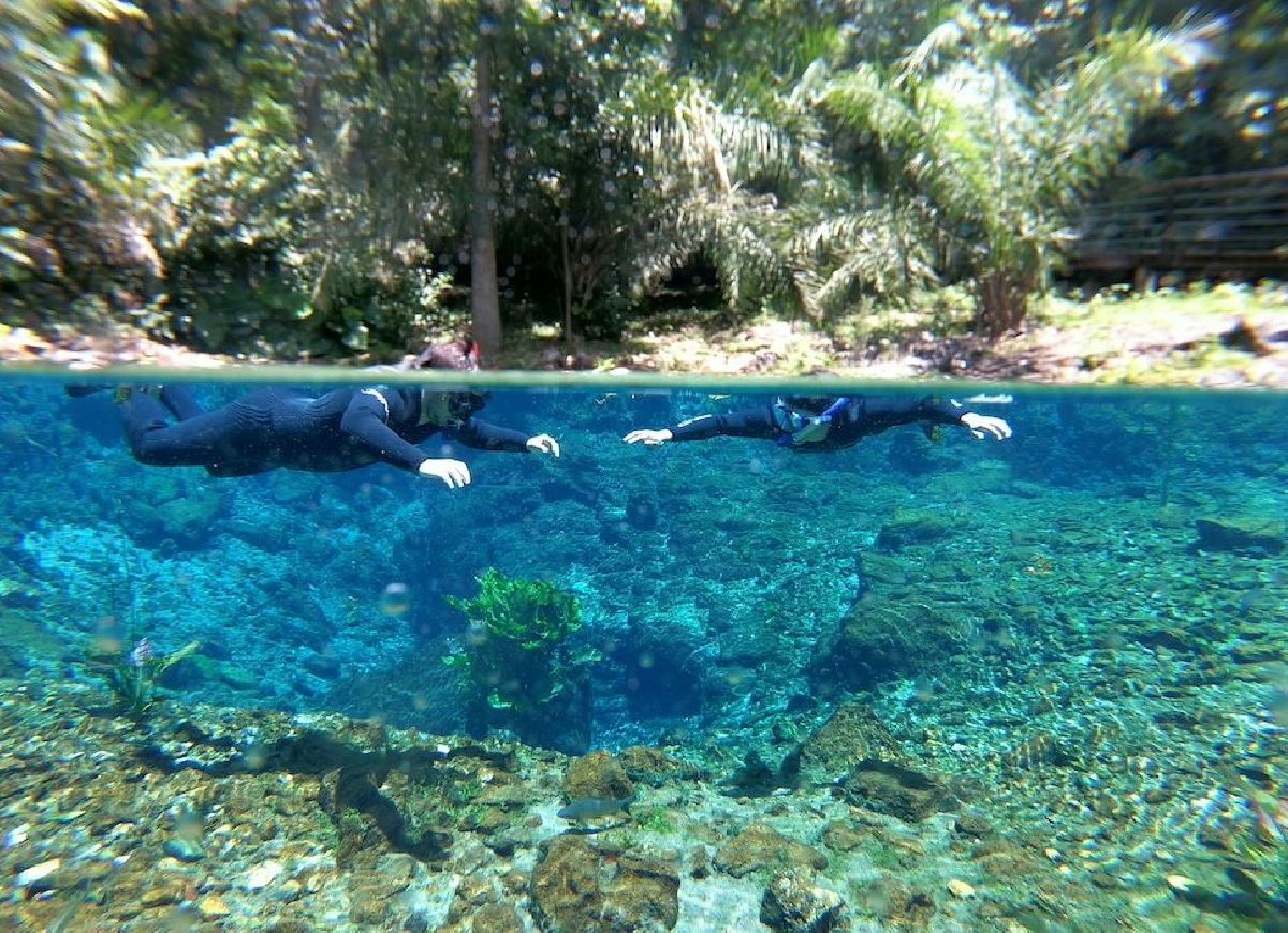 Bonito: proteção ambiental na Nascente Azul garante águas cristalinas em períodos de chuva