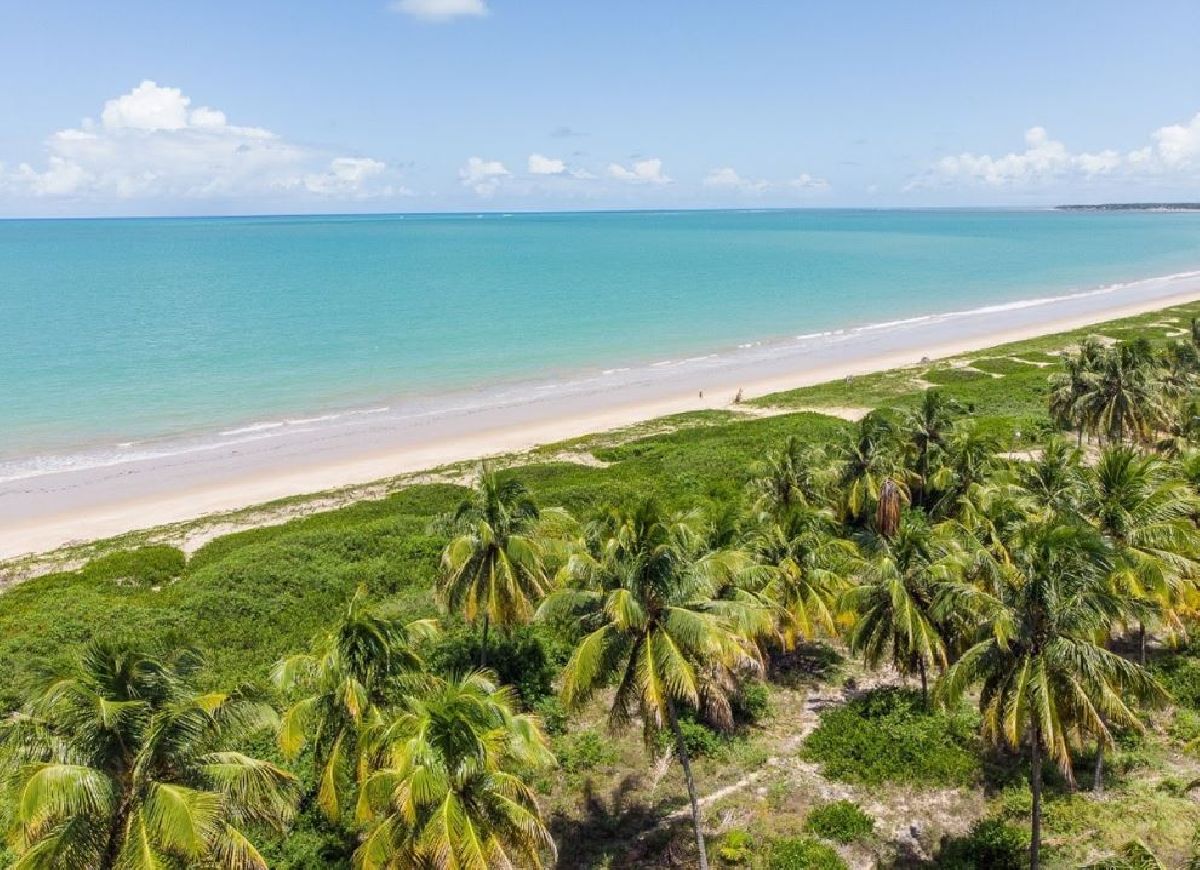 Vila Galé Alagoas promove mutirão de limpeza na Praia do Carro Quebrado e incentiva a preservação do meio ambiente