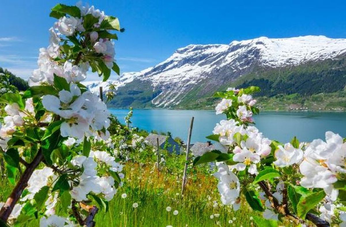 Primavera na Noruega: descubra as melhores atividades para aproveitar a estação no país