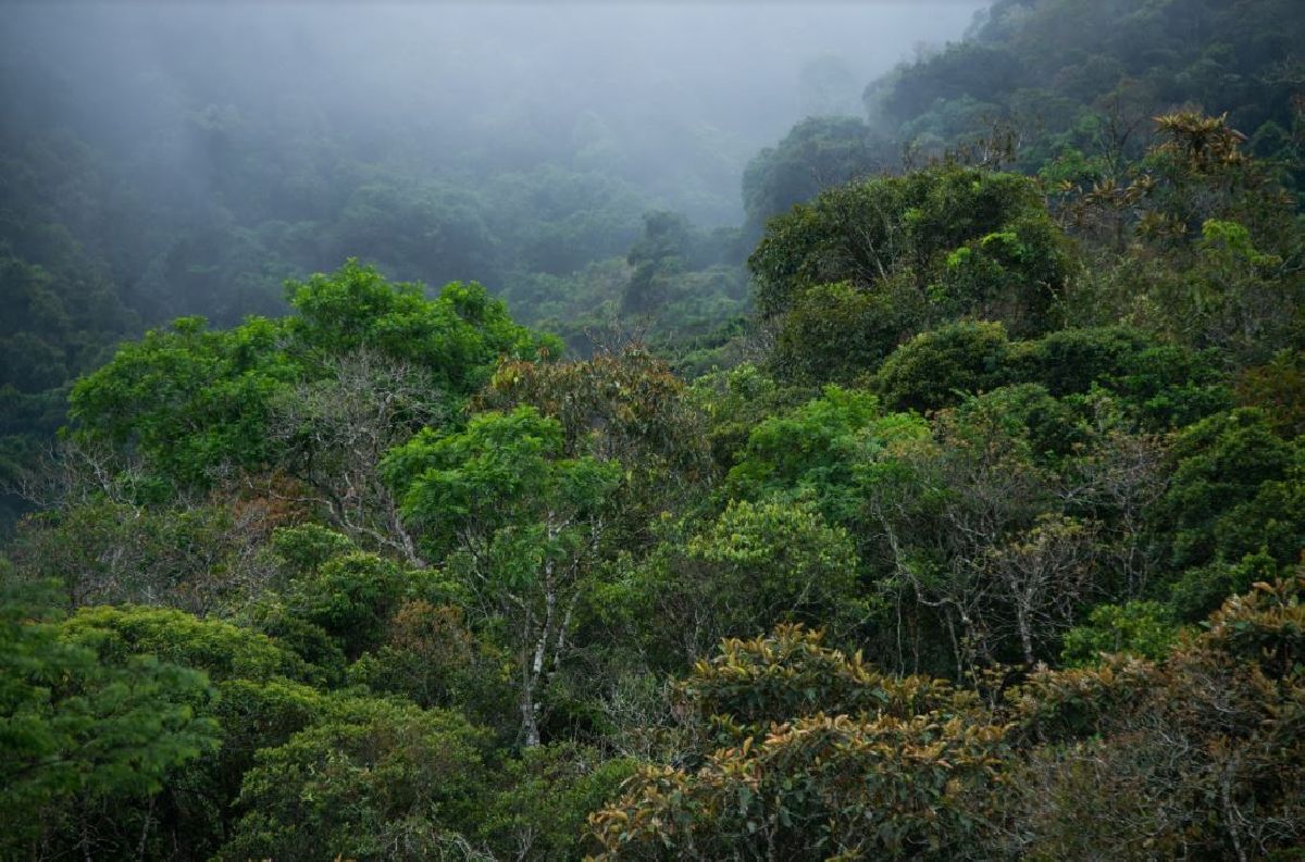 1º Festival Portal da Mata Atlântica celebra adesão de Juquitiba e São Lourenço da Serra à Grande Reserva Mata Atlântica