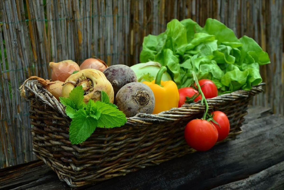 Rede Accor inclui alimentação à base de vegetais em mais de 300 hotéis no Brasil