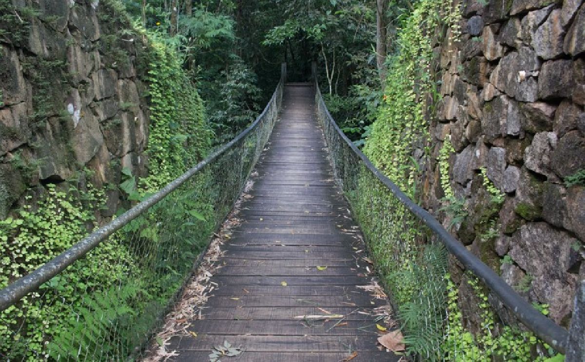 Áreas de proteção ambiental reforçam turismo verde no Litoral Norte de São Paulo