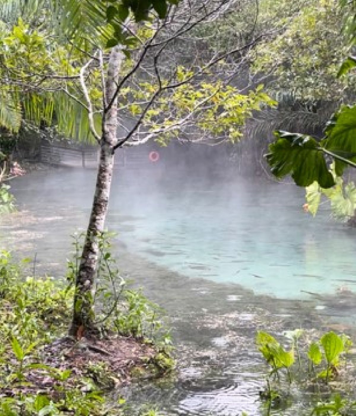 Baixas temperaturas em Bonito criam visual único na Nascente Azul