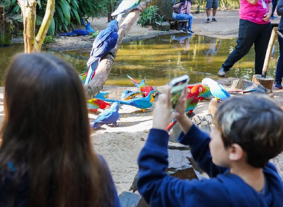 Parque das Aves espera receber 110 mil visitantes nas férias de julho com  programação especial