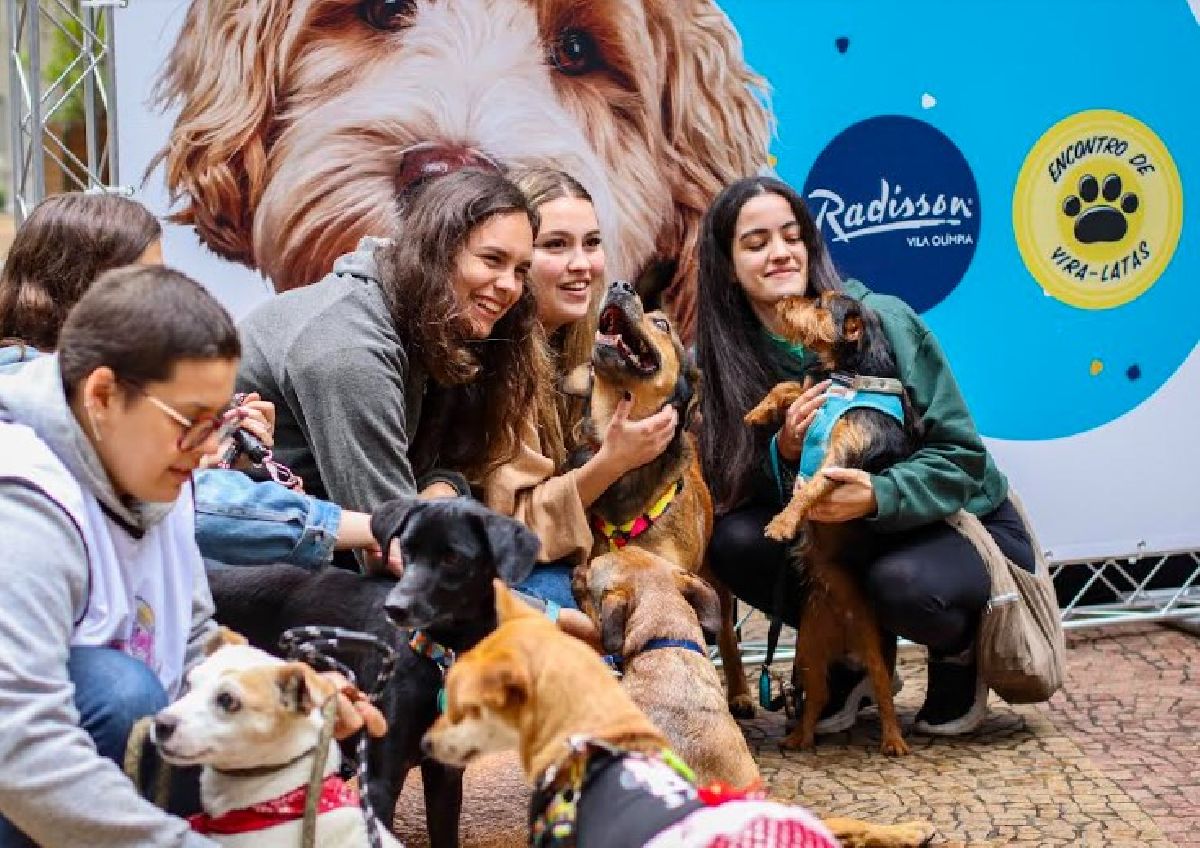 Hotel Radisson Vila Olímpia promove encontro de Vira Latas