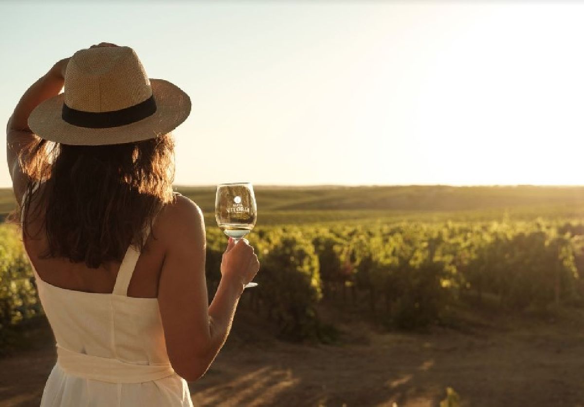 Vila Galé inicia programa de vindimas com colheita de uva e degustação de vinhos em Portugal