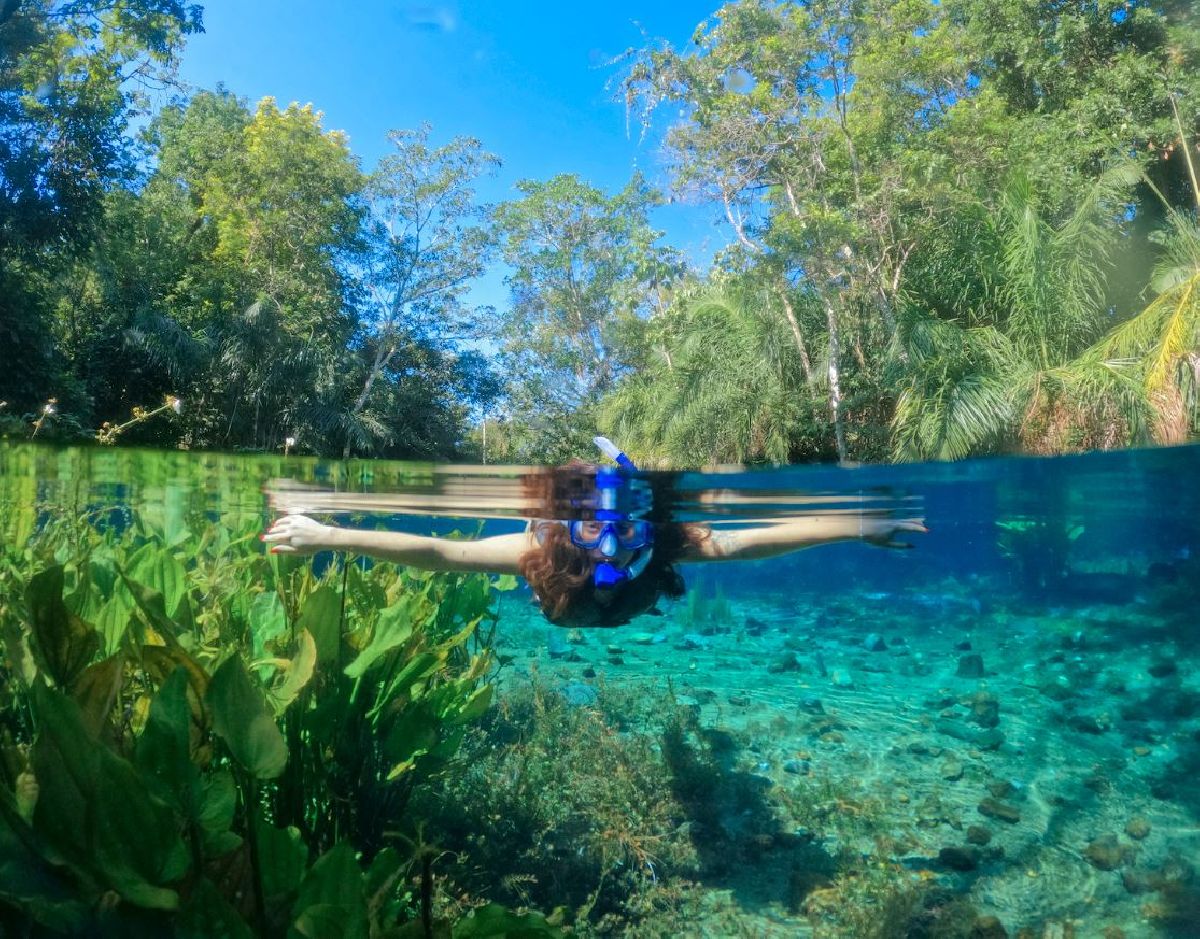 Nascente Azul é o atrativo mais visitado de Bonito