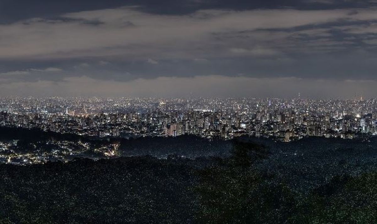 Caminhada Noturna no Parque Estadual da Cantareira ganha nova edição em setembro