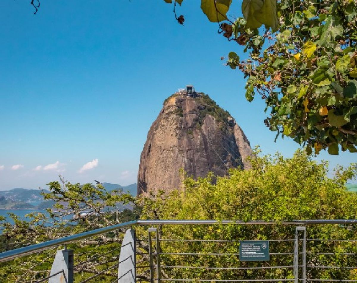 Parque Bondinho Pão de Açúcar ficará iluminado de verde  para incentivar a campanha de Doação de Órgãos e Tecido