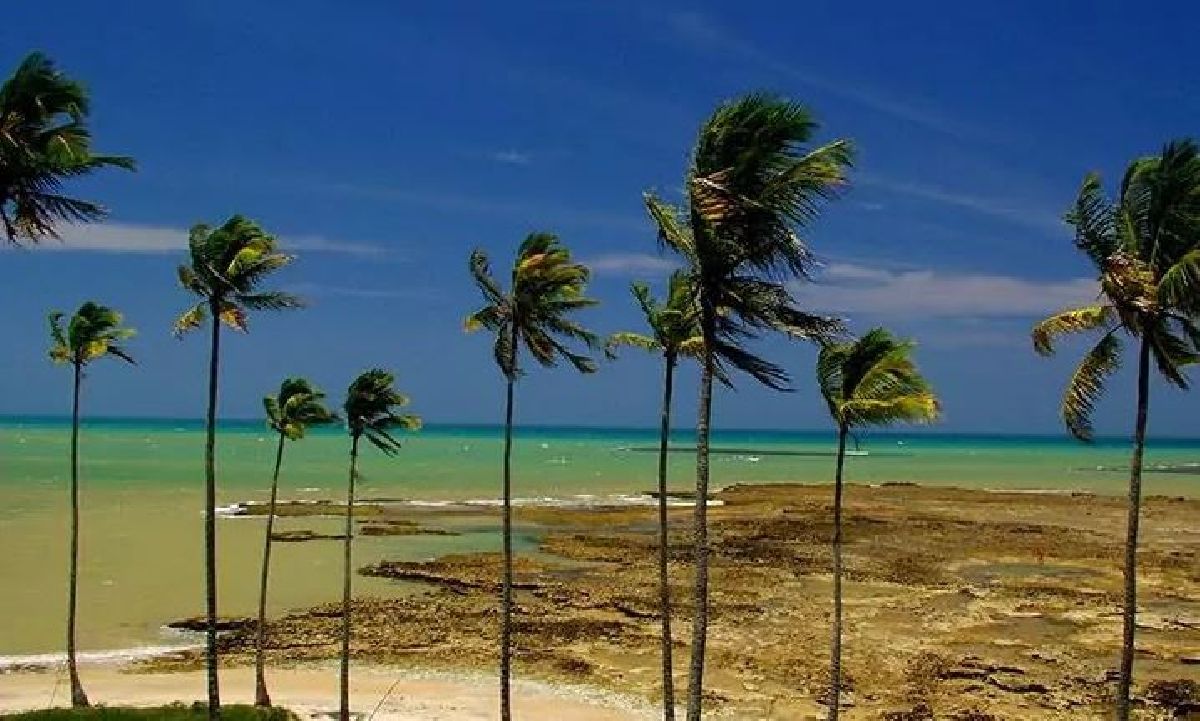 Descobrindo a Bahia: Encantos em Prado, Itacaré e Trancoso