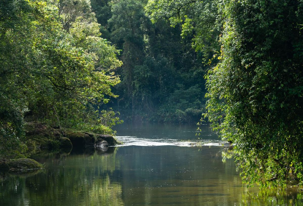 Parque das Neblinas completa 19 anos de transformação e conservação