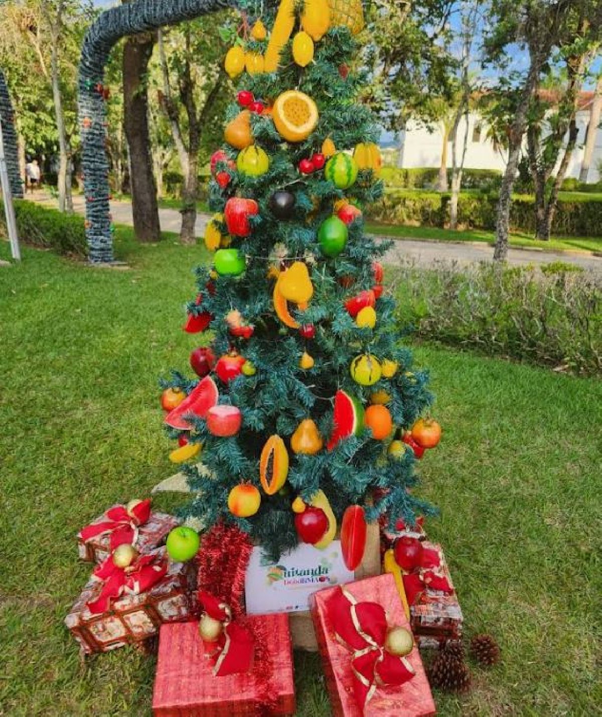 Parque das Águas São Lourenço recebe a primeira edição de seu Natal Luz