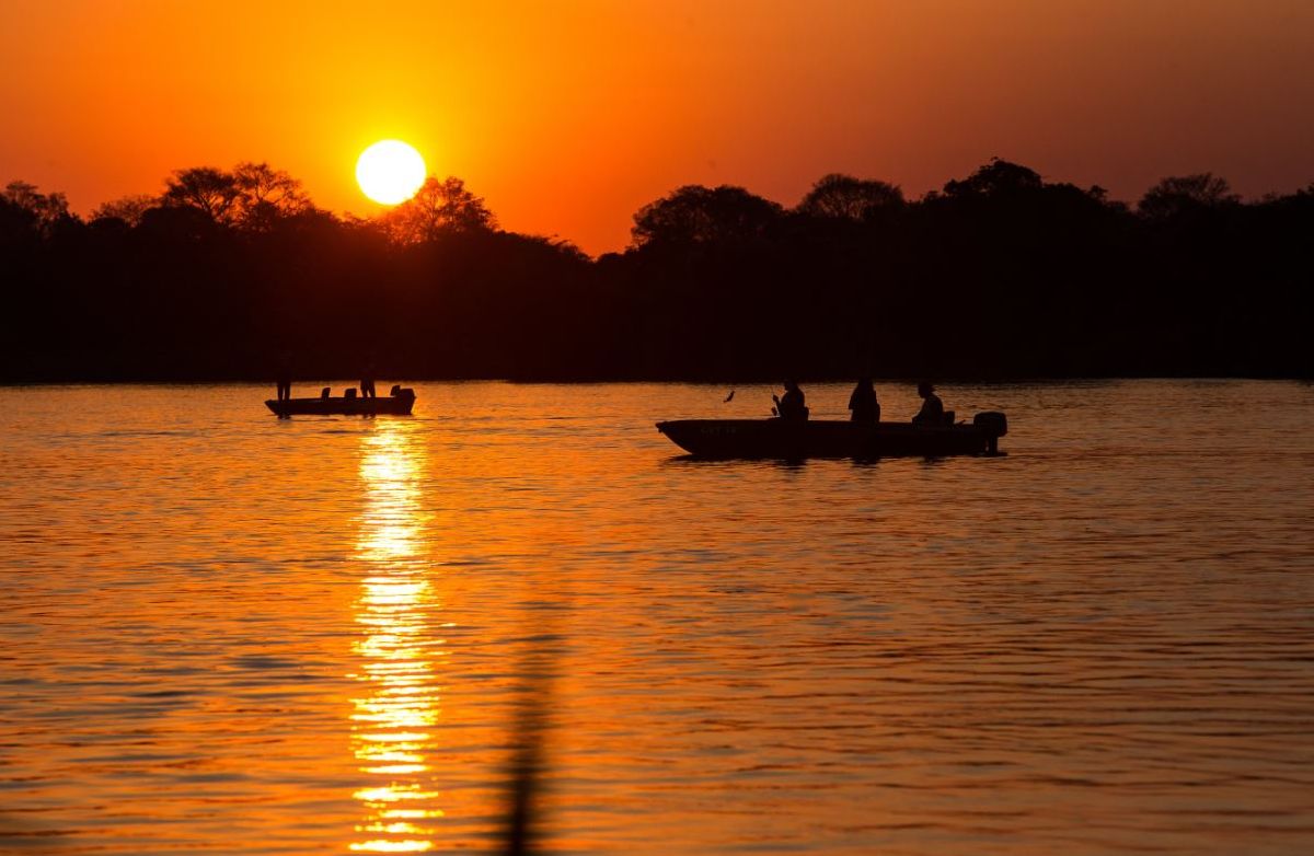 Conheça as riquezas naturais do Mato Grosso do Sul com dois webinars imperdíveis 