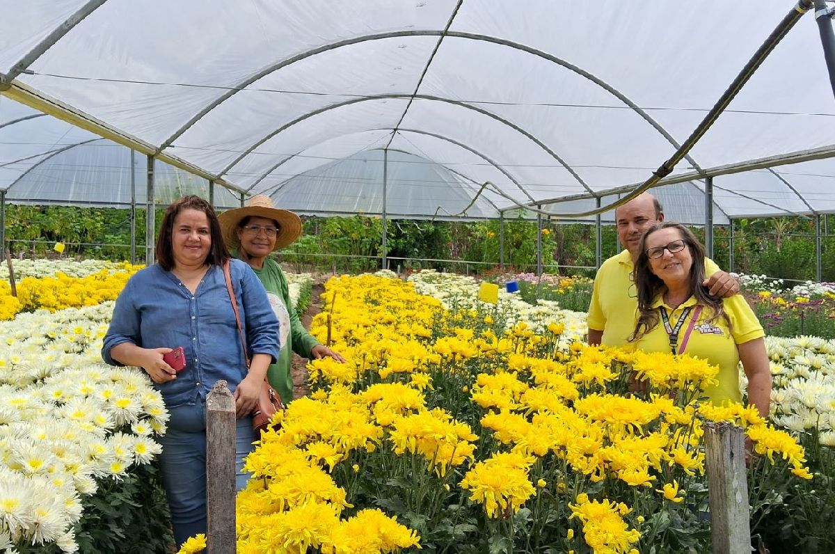 Rota das Flores é lançada no Brejo Paraibano