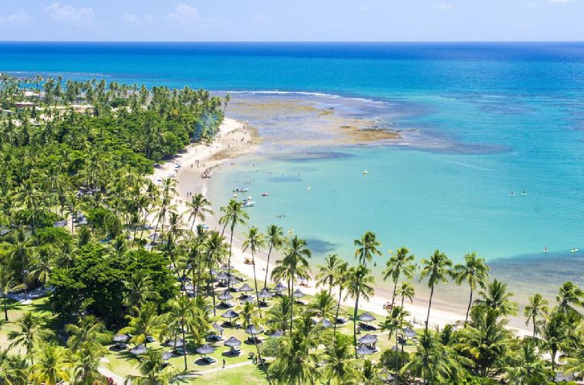 Descubra o paraíso tropical na Praia do Forte durante a temporada de verão 2024